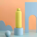stainless steel thermal water bottle​